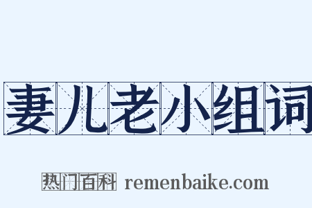 妻儿老小组词是什么意思的图片